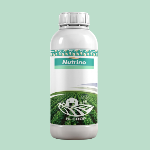 Nutrient Fertilizers
