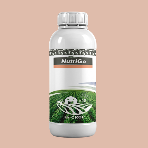 NutriGo